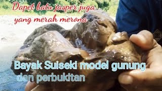 Mencari batu unik Suiseki di aliran sungai kaki gunung [upl. by Peterman]