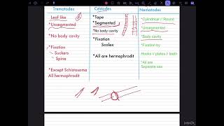 شرح مدخل الطفيليات Medical parasitology 1Nematodes 2cestodes 3Trematodes المحاضرة الأولى [upl. by Matthei]