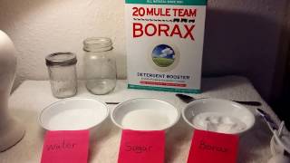 Borax and DIY Ant Trap with educational health and safety facts using all natural Borax [upl. by Nisay595]