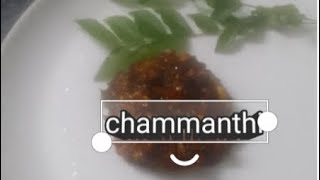 Chammanthichammanthi recipe in malayalam [upl. by Drallim668]