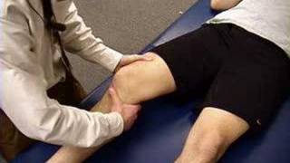 Knee Exam Lachman Test [upl. by Iadrahs476]