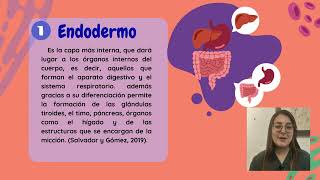 Presentación Ontogénesis del Sistema Nervioso [upl. by Lahcym]