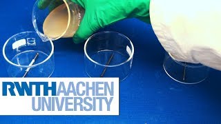 Corrosion Experiments in Gel [upl. by Lishe906]