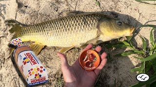 New  Rodless Reel   Site fishing for Carp with Bread  Handline Fishing [upl. by Helyn]