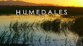 LOS HUMEDALES ECOSISTEMAS VITALES PARA EL PLANETA RAMSAR [upl. by Greenburg299]