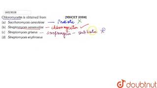 Chloromycetin is obtained from [upl. by Aerdnuahs]