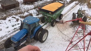 Unloading The Last Load Of Organic Corn And Some Surprising Yield Results On The Last Field Of Corn [upl. by Pauletta988]