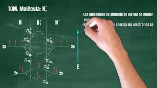 101 Teoría de Orbitales Moleculares Molécula N2 [upl. by Mok912]