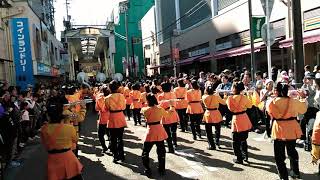 Kyoto Tachibana high school marching band plays quot Tristeza quot [upl. by Gaspard452]