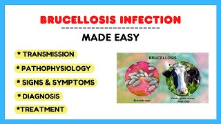 Brucella infection Brucellosis pathophysiology symptoms treatment microbiology made easy [upl. by Torrie]