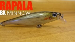 Rapala BX Minnow  The King of Lure Eye Candy [upl. by Dorian]