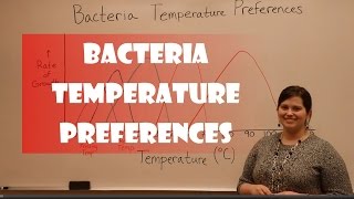 Bacteria Temperature Preferences [upl. by Genaro407]