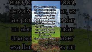 Un nuevo día frases frasesamor youtubeshorts frasesmilonarias shortvideo shortvideo [upl. by Amairam]