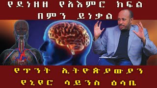 የደነዘዘ አእምሮ በምን ይነቃል የ2ቱ አእምሮ ክፍሎች [upl. by Nitza]