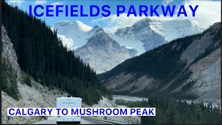 ICEFIELDS PARKWAY  MOST SCENIC DRIVE IN THE WORLD  ALBERTA CANADA [upl. by Aymik]