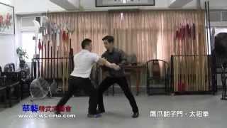 鷹爪翻子拳 太祖拳及應用 Eagle Claw Tai Zu Quan amp Application [upl. by Anialem]