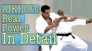 Aikidos Real Power In Detail [upl. by Picker]