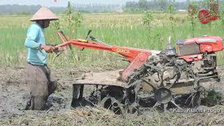 Powerfull Walk Behind Tractor Tilling Mud Quick Rotary Zena [upl. by Torray]