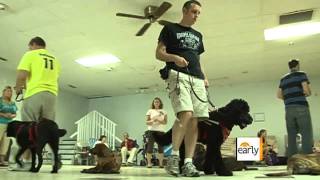 Service dogs and epilepsy [upl. by Llerraf764]