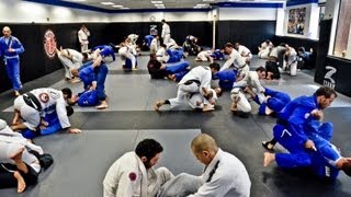 2013 Worlds Training Camps Cobrinha BJJ Alliance Los Angeles [upl. by Adnauqaj]