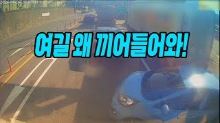 23339회 신호 대기하고 있던 레미콘 앞으로 기어들어온 모닝의 최후 [upl. by Assirolc92]