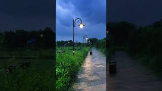 Kolshet Creek Thane Park  Muje Bas Dur Jana Rahat Fateh Ali Khan  Travel Ranger shorts ytshorts [upl. by Llerat535]