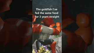 My goldfish are alphas  Roblox Moon Animation shorts robloxmoonanimator roblox memes [upl. by Ihtak]