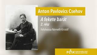 Anton Pavlovics Csehov A fekete barát  2 rész [upl. by Cassiani870]