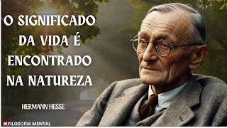 Como DAR um novo SENTIDO na Vida  HERMANN HESSE [upl. by Nnaassilem]