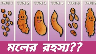 মলের গোপন রহস্য।। মল চেনার সঠিক উপায়।।Poop Tells About Your Health।। poop tells you your health [upl. by Eide]