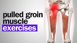 Pulled Groin Muscle Try THESE Exercises [upl. by Barde]