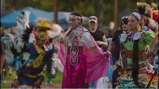 Working With the Great Lakes InterTribal Epidemiology Center 2 minutes [upl. by Eytak201]