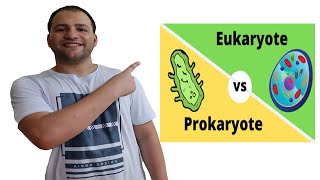 Prokaryotes and Eukaryotes comparison [upl. by Hesoj]