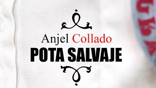 Pota Salvaje  Anjel Collado ft MK Project [upl. by Eidoj781]