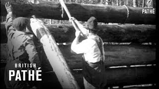 Lumbering In Northern Ontario 1923 [upl. by Sivra903]