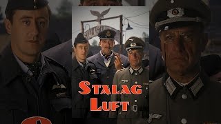 Stalag Luft [upl. by Hildegaard]