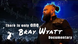 There is only one Bray Wyatt Documentary [upl. by Keynes696]