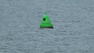 Green Can Buoy Knap Plymouth Sound England 15th September 2024 [upl. by Ehcar398]