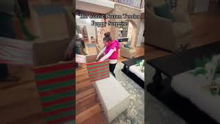 Kid Gets Emotional After Getting Puppy for Christmas  1540562 [upl. by Knick]