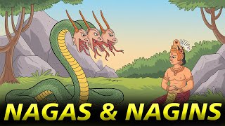 The Nagas amp Nagins In Indian Mythology amp Legends Explained  4K History [upl. by Neau]