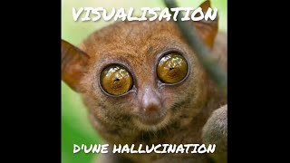 VISUALISATION dune hallucination mentale [upl. by Fidelio]