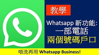 教學新功能 一部電話用兩個 WhatsApp 號碼  如何切換帳戶  注意事項 [upl. by Durgy617]