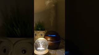 Plastic Wooden Humidifiers Diffuser Aroma Oil Cool Mist For Room humidifier trendingshorts [upl. by Steere]