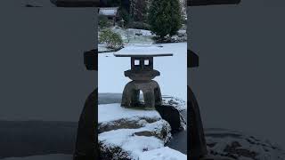 Cowden Gardens in the snow 🤌🏻🏴󠁧󠁢󠁳󠁣󠁴󠁿 ExploringScotland Scotland cowdengardens [upl. by Adnamas]