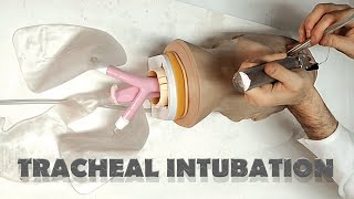 Tracheal tube placement  INTUBATION [upl. by Buckden]