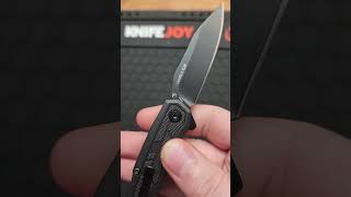 Kershaw Appa the cheapest of all Kershaws youtubeshorts shorts knives [upl. by Pearle289]