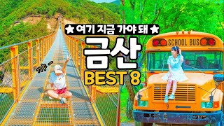 국내여행지 추천 숨겨진 여행 명소 ✨ 금산 당일치기 여행 코스 BEST8✨ 월영산 출렁다리 지구별그림책마을 인삼튀김 [upl. by Nicol]