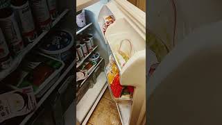 How to open your FRIDGE shorts viralvideo funny viralshorts comedy hack vlogs fridge vlog [upl. by Llednohs]