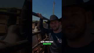 Fortalecimento do rodeio Brasileiro carloszordan gado bezerrada cavalo fazenda boi rodeio [upl. by Eric]