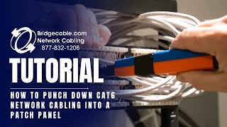 How to Punch Down CAT6 Network Cabling into a Patch Panel  BridgeCablecom [upl. by Cockburn613]